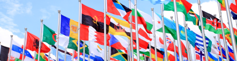 Picture of multiple country flags 