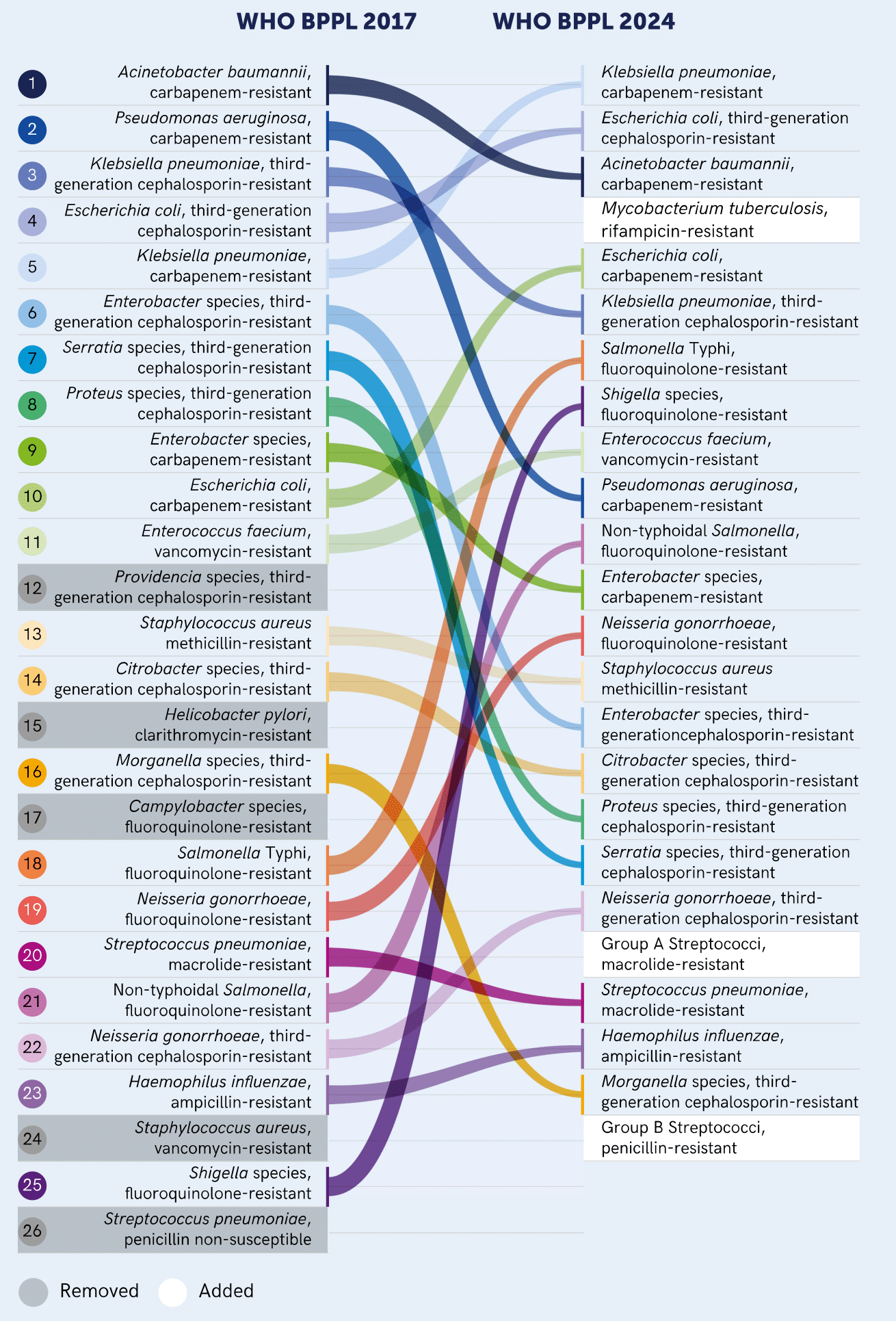 Two lists of many different kinds of bacteria, one on the left from 2017 and one on the right from the updated 2024 list. There are colourful lines running from right to left, starting at several of the bacteria and pointing to their new locations in the 2024 list. Some of the bacteria on the 2017 list are missing, highlighted in grey, while other new bacteria have been added to the 2024 list.