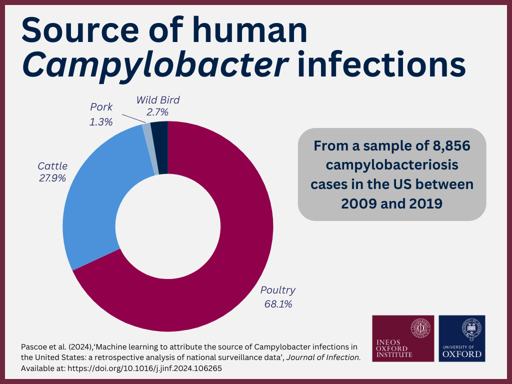 Graph showing "source of human campylobacter infections" with a note "from a sample of 8,856 campylobacteriosis cases in the US between 2009 and 2019". The graph shows 68.1% from poultry, 27.9% from cattle,  2.7% from wild birds, and 1.3% from pork.