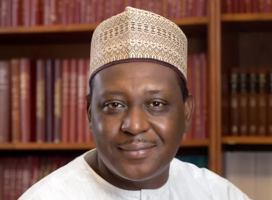 Prof Muhammad Ali Pate