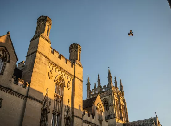 A PIGEON FLYING BETWEEN UNIVERSITY BUILDINGS