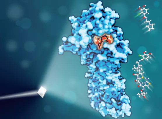 Computer generated image of penicillin binding protein with cefiderocol