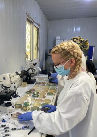 Kate cook preparing petri dishes in the lab in Kano, nigeria