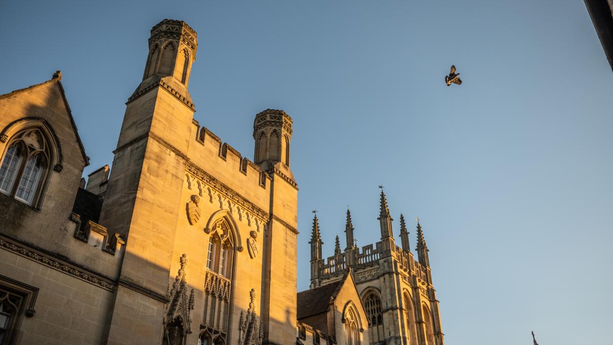A PIGEON FLYING BETWEEN UNIVERSITY BUILDINGS