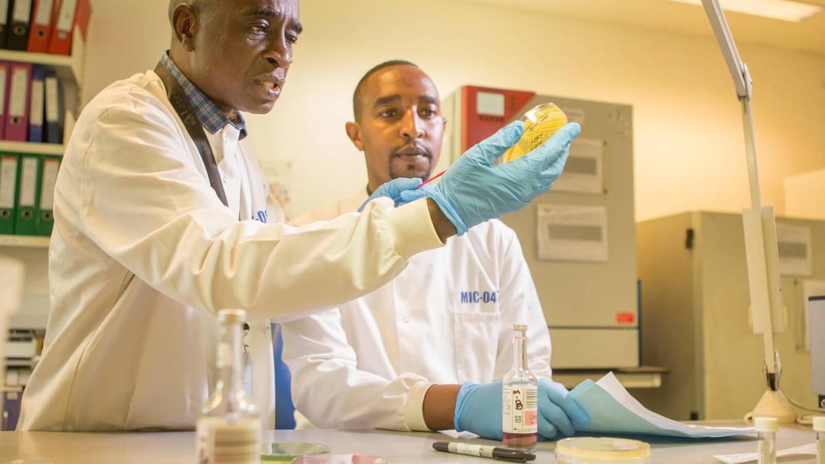 two doctors in lab coats and gloves hold up a petri dish to inspect a bacterial culture