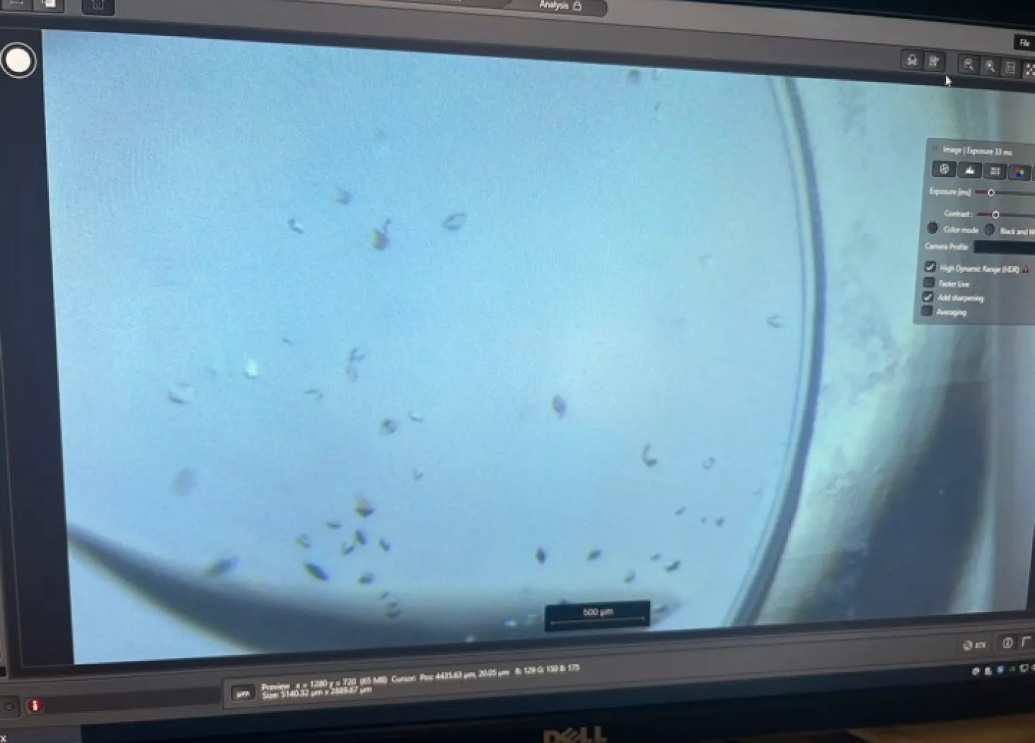 Computer screen showing crystals of proteins down the microscope