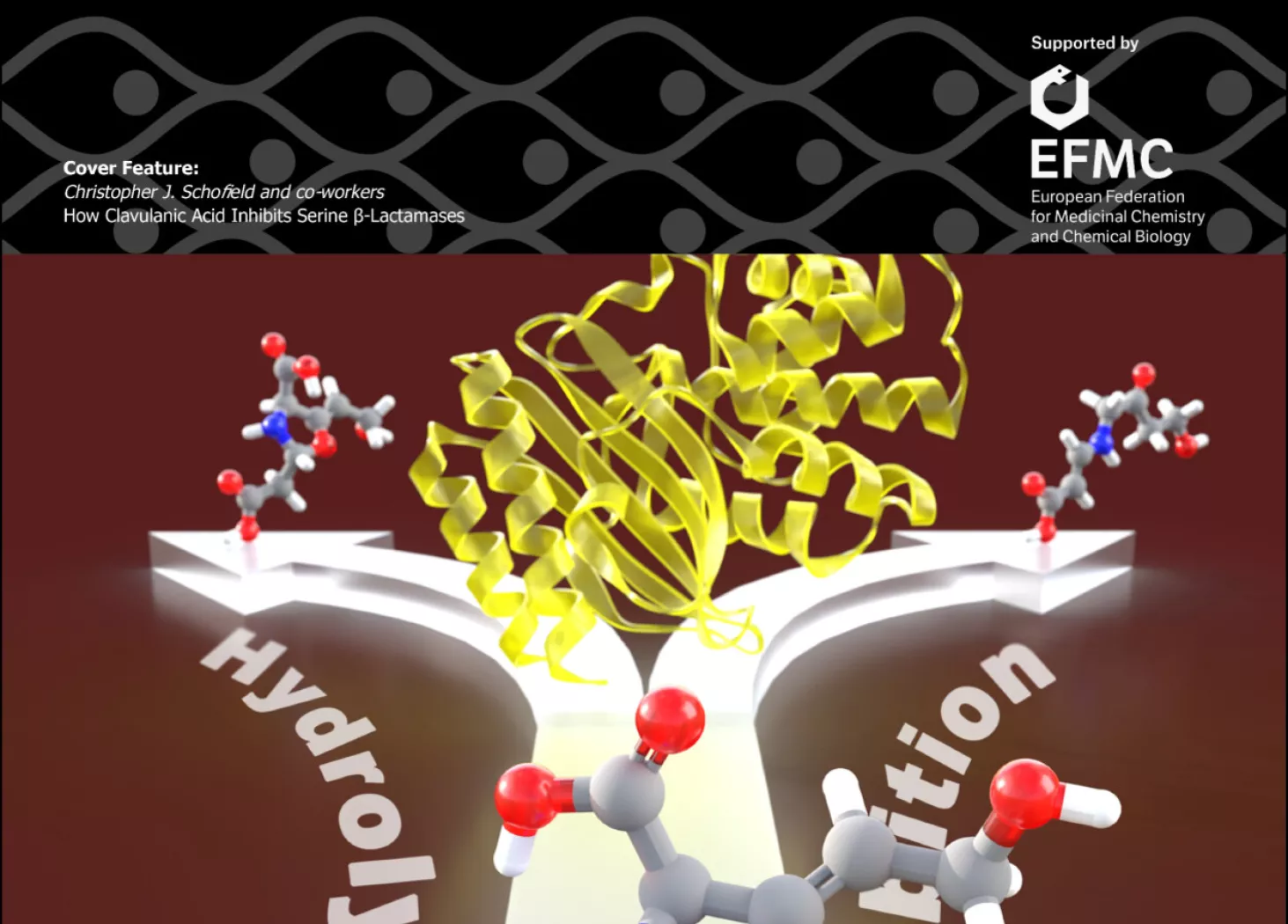 Cover of ChemBioChem journal featuring computer generated diagram of how Clavulanic Acid Inhibits Serine β-Lactamases