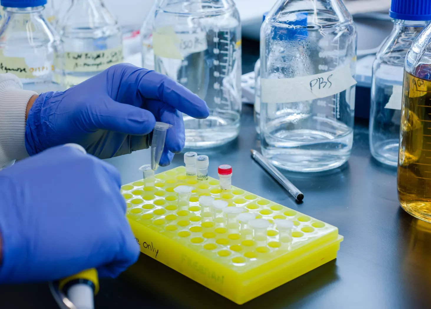 RESEARCHER PLACING EPPENDORF TUBES IN A RACK